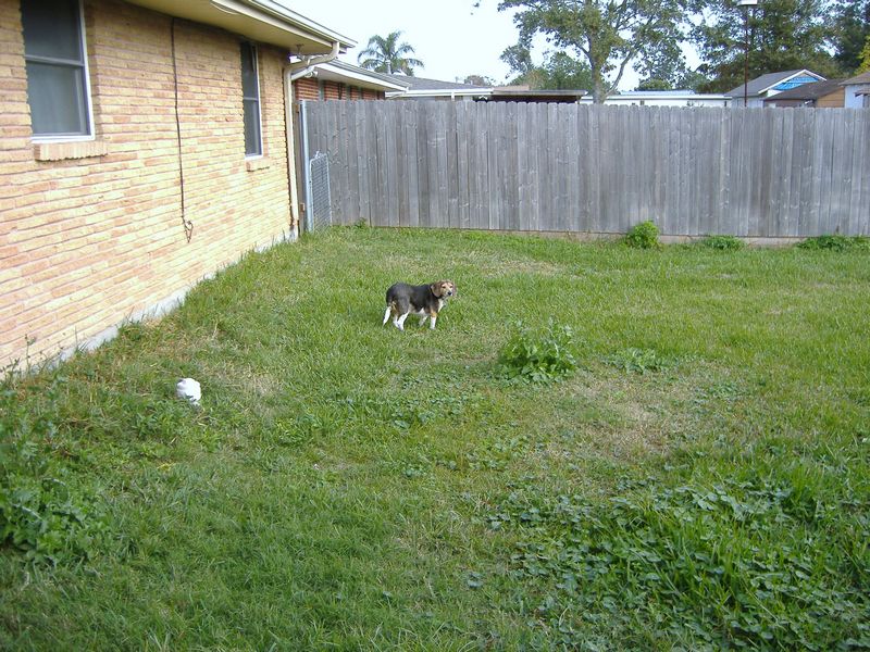 DSCF3141.JPG