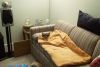 Filename=xIM000156.jpg
Filesize=70KiB
Dimensions=800x536
Date added=Feb 11, 2006 xIM000156.jpg