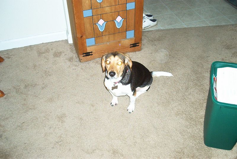 xIM000483.jpg