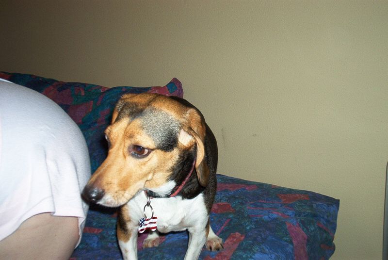 xIM000641.jpg