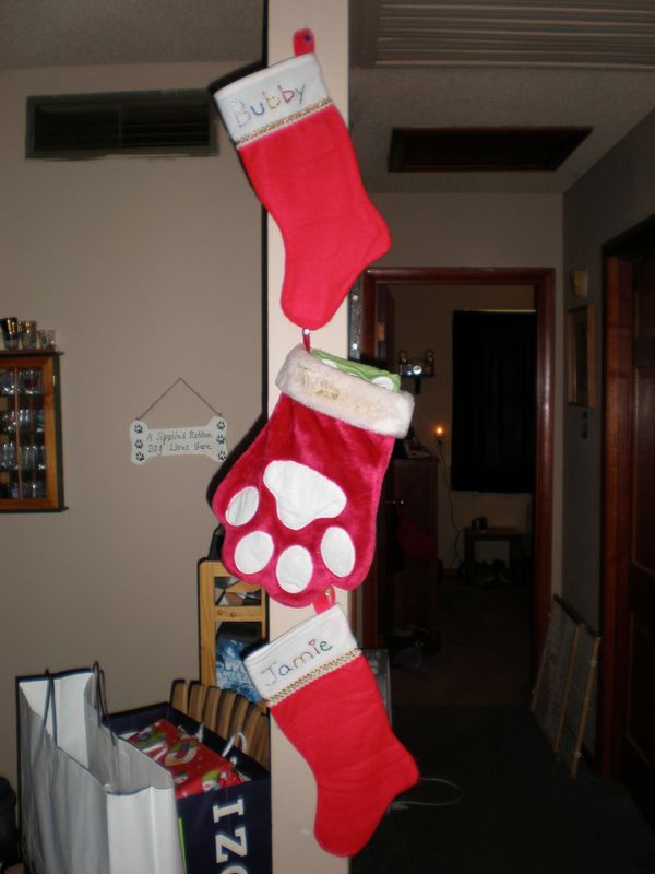 PC250173.JPG