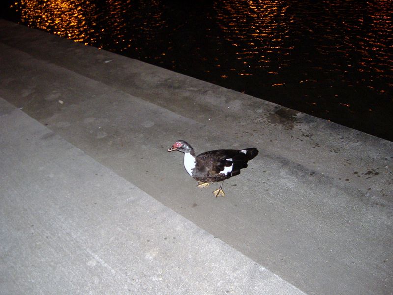 DSCF3208.JPG