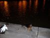 DSCF3209.JPG