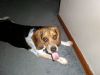 zoey2011-050.JPG