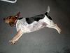 zoey2011-064.JPG