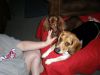 zoey2011-069.JPG