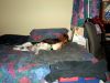 zoey2011-090.JPG