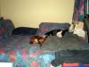 zoey2011-092.JPG