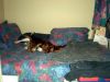 zoey2011-096.JPG