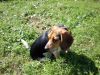 zoey2011-103.JPG