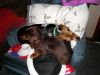 zoey2011-114.JPG