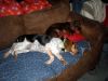 zoey2011-116.JPG