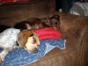 zoey2011-118.JPG