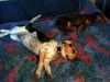 zoey2011-129.JPG