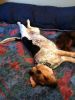 zoey2011-132.JPG
