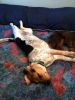 zoey2011-133.JPG