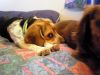 zoey2011-142.JPG