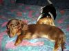 zoey2011-155.JPG