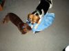 zoey2011-183.JPG