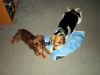 zoey2011-184.JPG