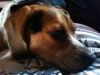 zoey2011-192.JPG