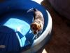 zoey2011-199.JPG