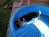 zoey2011-200.JPG