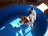 zoey2011-202.JPG