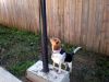 zoey2011-205.JPG
