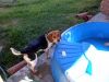 zoey2011-206.JPG