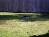 zoey2011-208.JPG