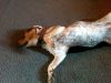 zoey2011-224.JPG