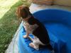 zoey2011-225.JPG