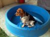 zoey2011-226.JPG