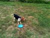 zoey2011-228.JPG