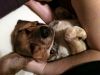 zoey2011-253.JPG