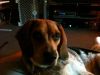 zoey2011-257.JPG