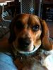 zoey2011-262.JPG