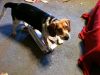 zoey2011-263.JPG