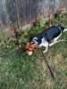 zoey2011-286.JPG
