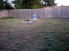 zoey2011-292.JPG