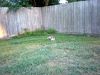 zoey2011-301.JPG