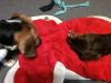 zoey2011-347.JPG