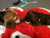 zoey2011-364.JPG