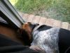 zoey2011-378.JPG