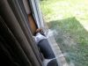 zoey2011-383.JPG