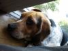 zoey2011-385.JPG