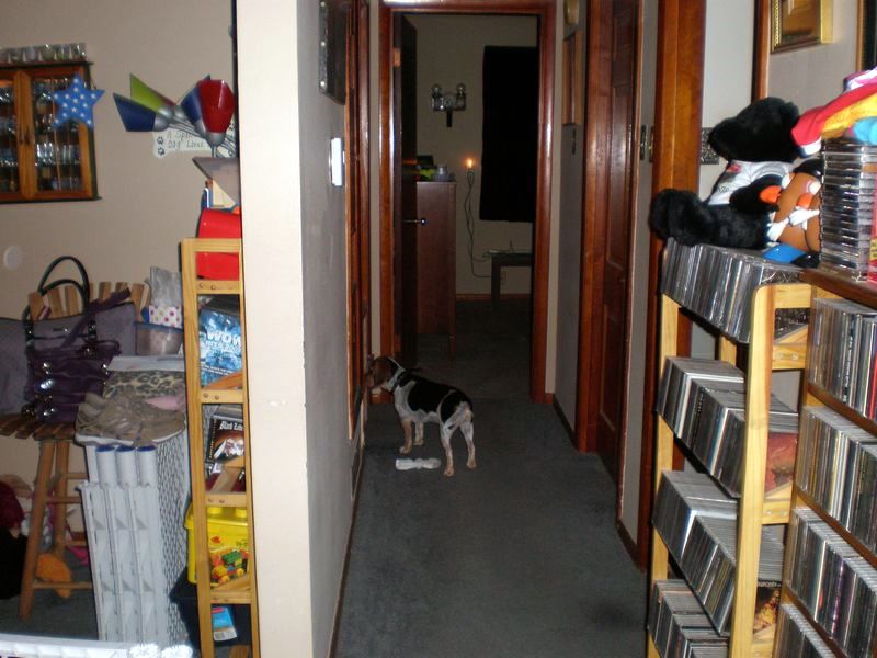 zoey2011-002.JPG