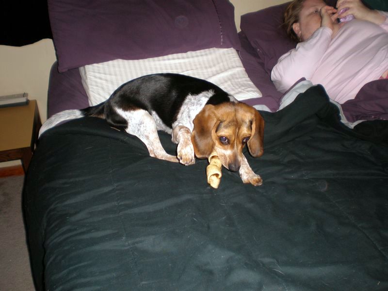 zoey2011-007.JPG