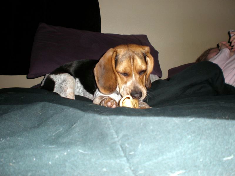 zoey2011-008.JPG